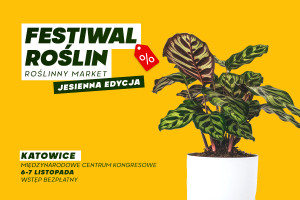 festiwal roslin plakat jesien 2021 katowice 1200x800px.jpg