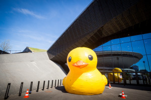 Akademia Duckie Deck - Najlepszy pomysł na rodzinny weekend